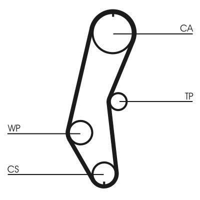 CONTINENTAL CTAM Zahnriemen