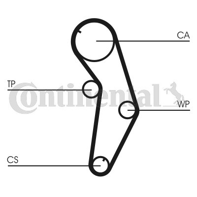 CONTINENTAL CTAM Zahnriemen