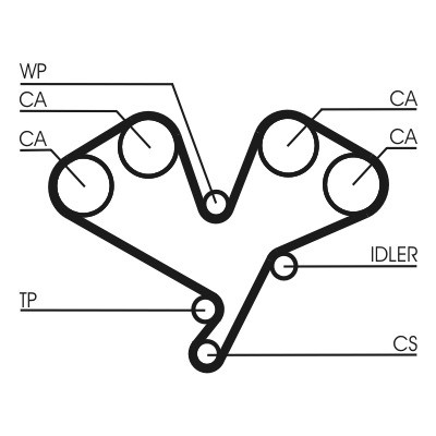 CONTINENTAL CTAM Zahnriemen
