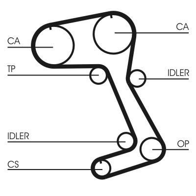 CONTINENTAL CTAM Zahnriemen