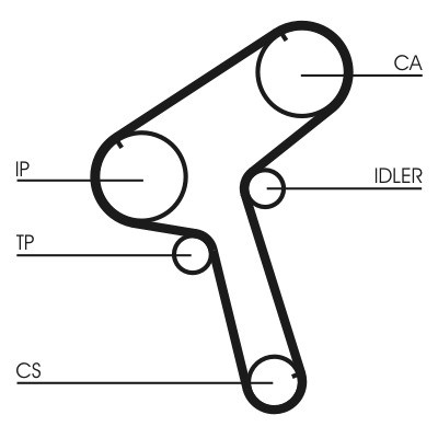 CONTINENTAL CTAM Zahnriemen