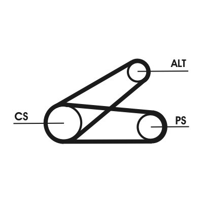 CONTINENTAL CTAM Keilrippenriemensatz