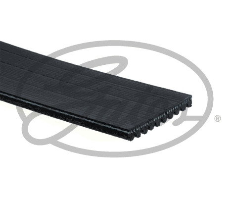 GATES Keilrippenriemen
