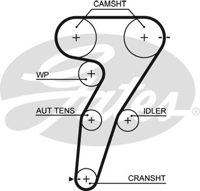 GATES Zahnriemen