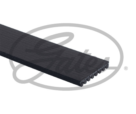 GATES Keilrippenriemen GATES Keilrippenriemen