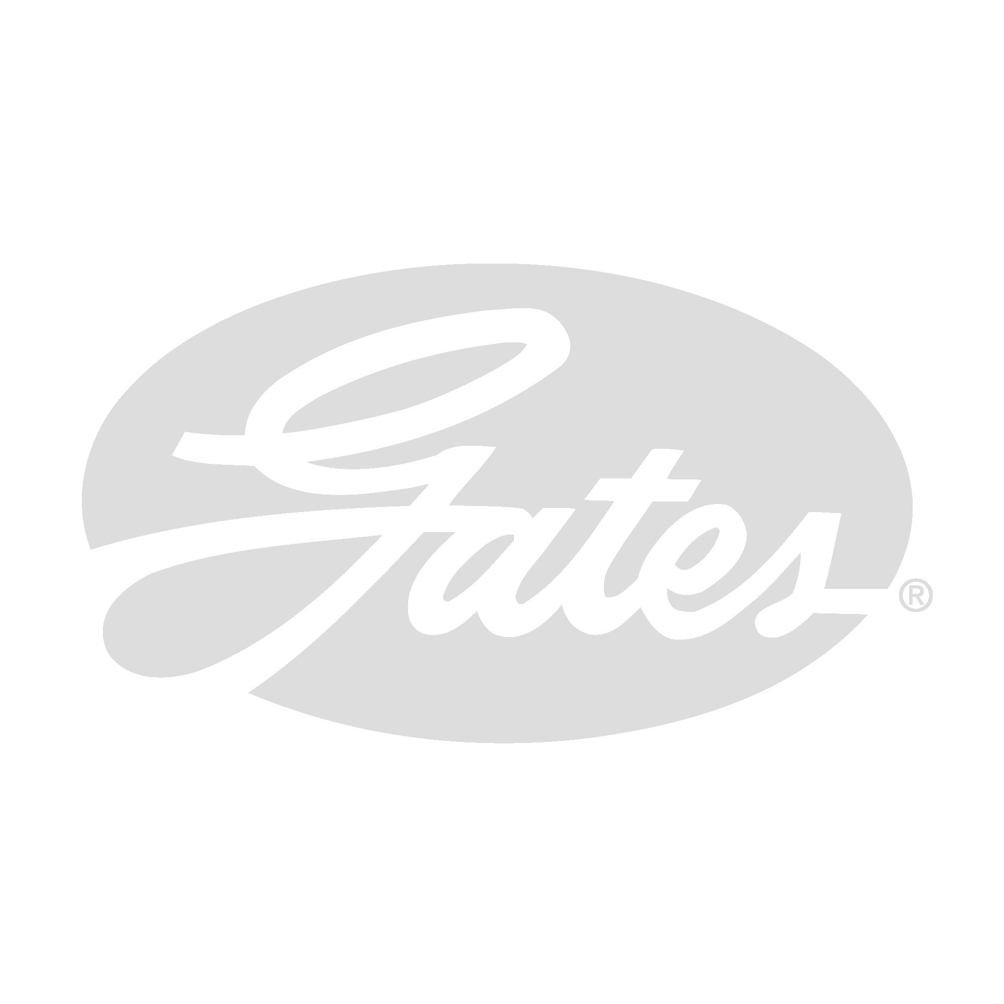 GATES Riemenspanner, Keilrippenriemen