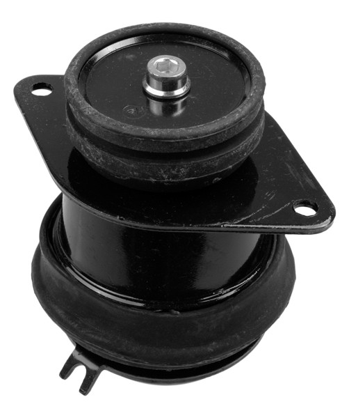 LEMFÖRDER Lagerung, Motor