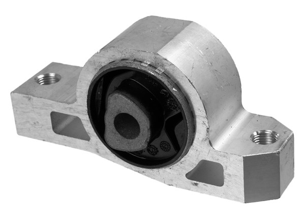 LEMFÖRDER Lagerung, Motor