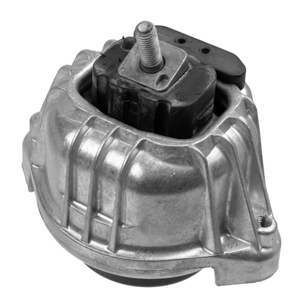 LEMFÖRDER Lagerung, Motor