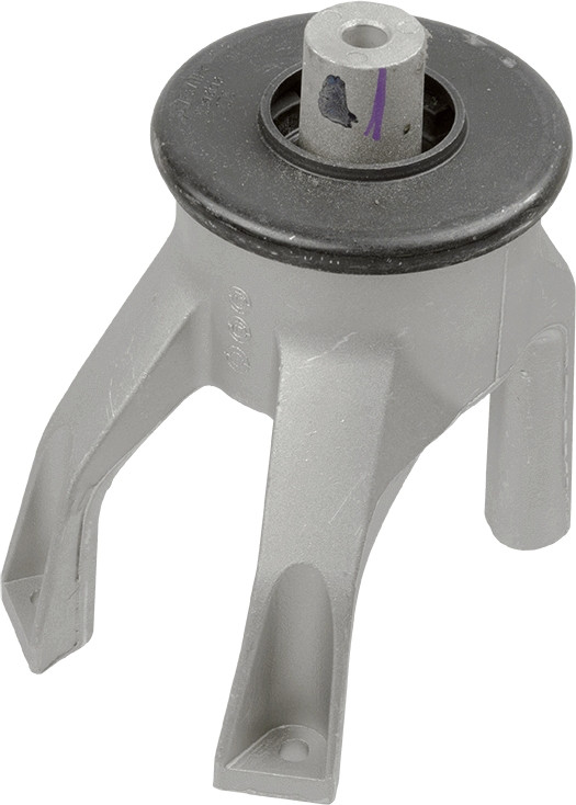 LEMFÖRDER Lagerung, Motor