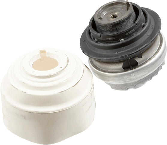 LEMFÖRDER Lagerung, Motor