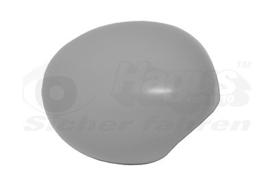 VAN WEZEL Abdeckung, Außenspiegel