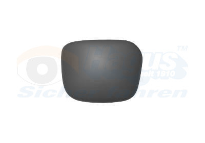 VAN WEZEL Abdeckung, Außenspiegel