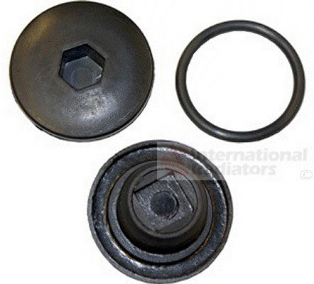 VAN WEZEL Verschlussschraube