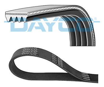 DAYCO Keilrippenriemen DAYCO Keilrippenriemen