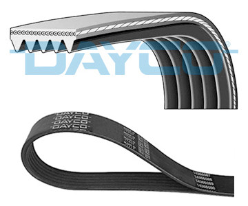 DAYCO Keilrippenriemen DAYCO Keilrippenriemen