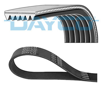 DAYCO Keilrippenriemen DAYCO Keilrippenriemen
