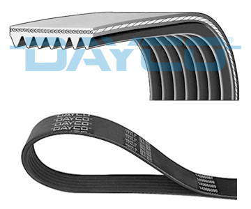 DAYCO Keilrippenriemen DAYCO Keilrippenriemen