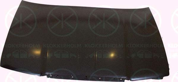 KLOKKERHOLM Motorhaube