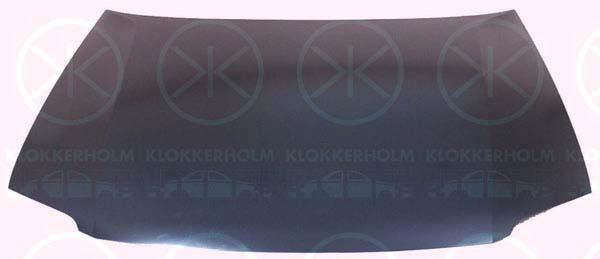 KLOKKERHOLM Motorhaube