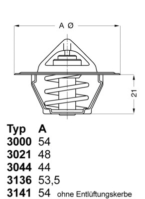 BorgWarner (Wahler) Thermostat, Kühlmittel
