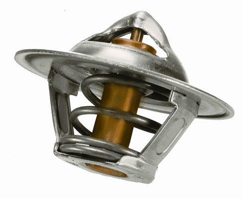 BorgWarner (Wahler) Thermostat, Kühlmittel