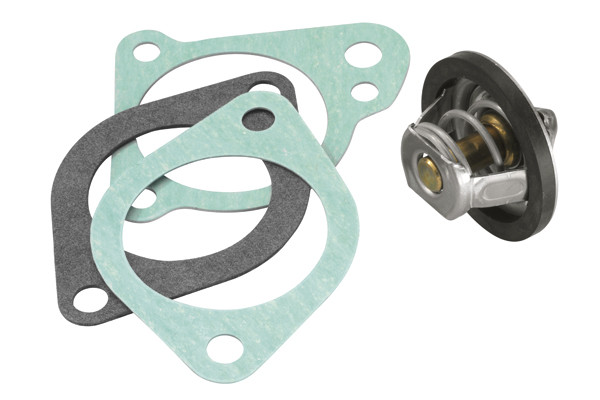 BorgWarner (Wahler) Thermostat, Kühlmittel