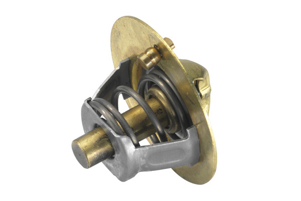 BorgWarner (Wahler) Thermostat, Kühlmittel