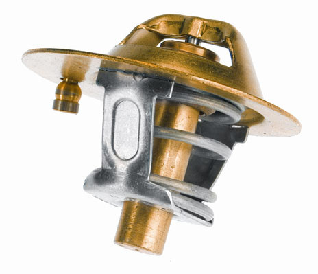 BorgWarner (Wahler) Thermostat, Kühlmittel