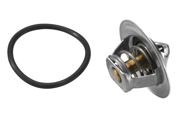 BorgWarner (Wahler) Thermostat, Kühlmittel