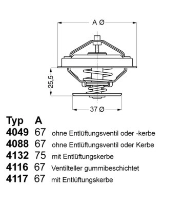 BorgWarner (Wahler) Thermostat, Kühlmittel