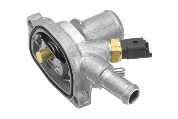 BorgWarner (Wahler) Thermostat, Kühlmittel