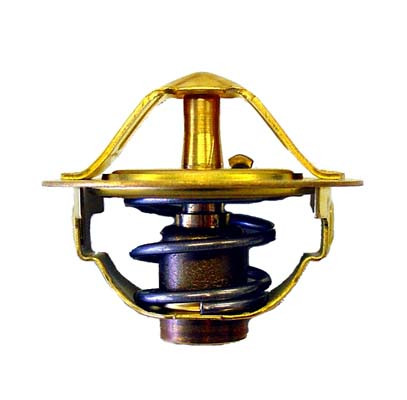 BorgWarner (Wahler) Thermostat, Kühlmittel