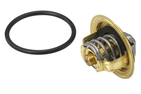 BorgWarner (Wahler) Thermostat, Kühlmittel