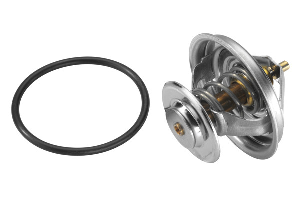 BorgWarner (Wahler) Thermostat, Kühlmittel