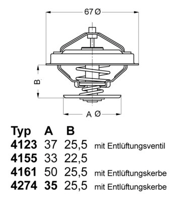 BorgWarner (Wahler) Thermostat, Kühlmittel