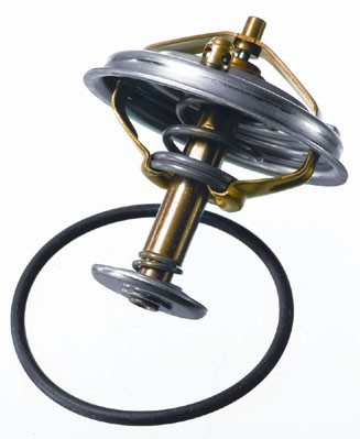 BorgWarner (Wahler) Thermostat, Kühlmittel