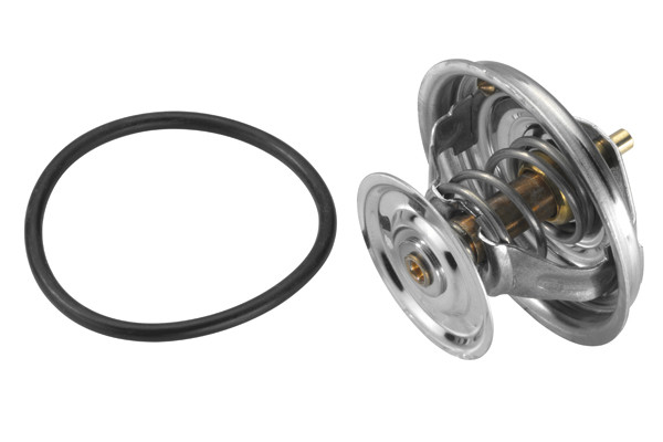 BorgWarner (Wahler) Thermostat, Kühlmittel