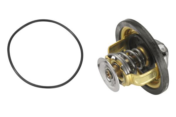 BorgWarner (Wahler) Thermostat, Kühlmittel