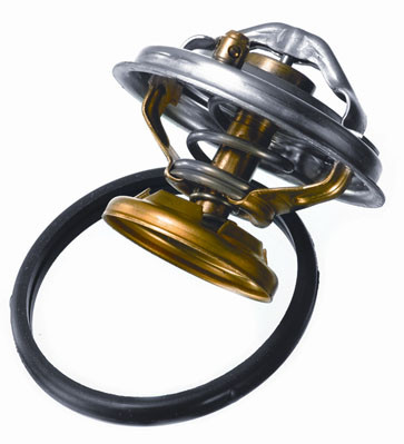 BorgWarner (Wahler) Thermostat, Kühlmittel