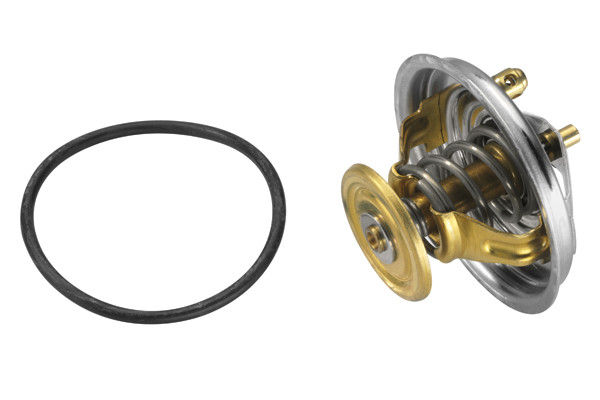 BorgWarner (Wahler) Thermostat, Kühlmittel