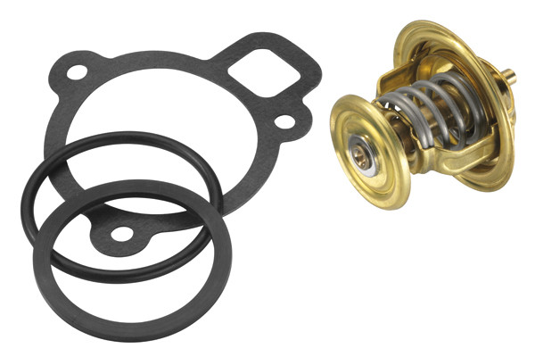 BorgWarner (Wahler) Thermostat, Kühlmittel