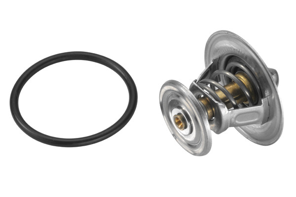 BorgWarner (Wahler) Thermostat, Kühlmittel