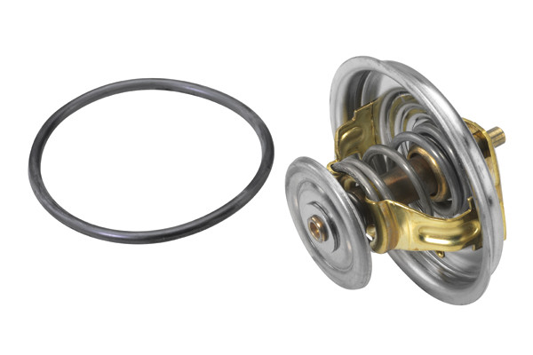 BorgWarner (Wahler) Thermostat, Kühlmittel