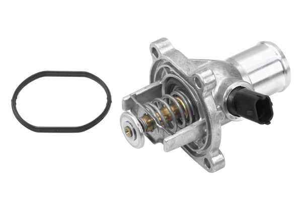 BorgWarner (Wahler) Thermostat, Kühlmittel