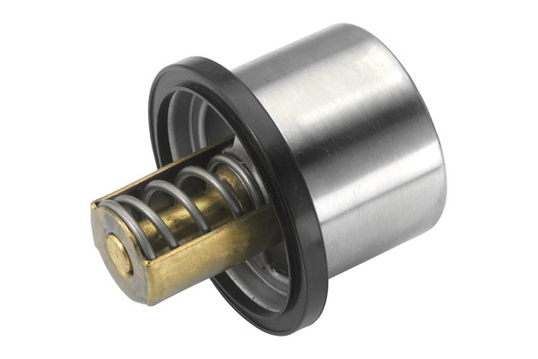 BorgWarner (Wahler) Thermostat, Kühlmittel