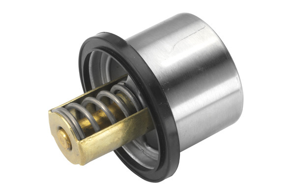 BorgWarner (Wahler) Thermostat, Kühlmittel