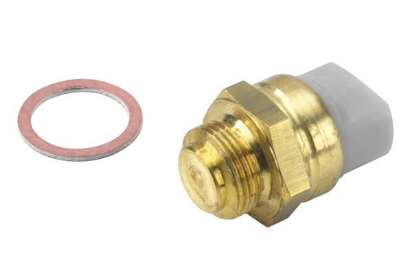 BorgWarner (Wahler) Temperaturschalter, Kühlerlüfter