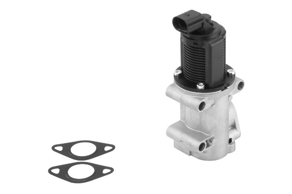 BorgWarner (Wahler) AGR-Ventil BorgWarner (Wahler) AGR-Ventil