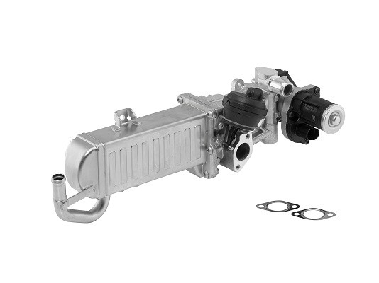 BorgWarner (Wahler) AGR-Modul